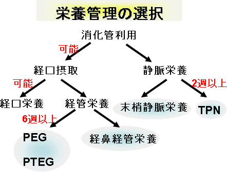 栄養管理の選択