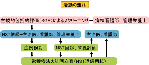 活動の流れ